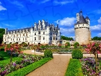 Ogród, Zamek, Chenonceau, Francja