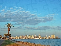 Ocean, San Diego, Chmury, Stany Zjednoczone, Drapacze Chmur, Palma