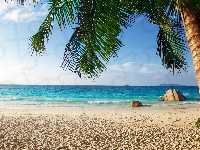 Palma, Ocean, Plaża, Tropiki