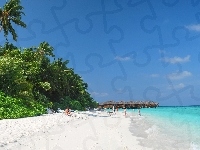 Palmy, Niebo, Malediwy, Fihalhohi, Plaża