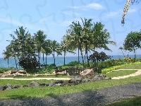Palmy, Park, Mostek, Bali
