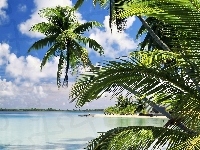 Palmy, Morze, Plaża, Obłoki