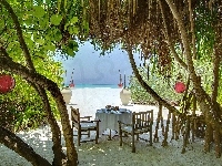 Palmy, Ocean, Plaża, Tropik