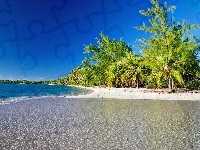 Palmy, Ocean, Plaża, Tropik