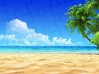 Plaża, Palmy, Piasek