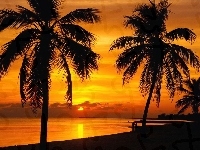 Palmy, Zachód Słońca, Jezioro