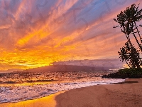 Zachód słońca, Wyspa Maui, Hawaje, Morze, Plaża, Palmy