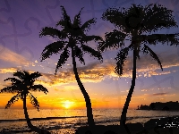 Palmy, Hawaje, Stany Zjednoczone, Wyspa Oahu, Zachód słońca, Morze