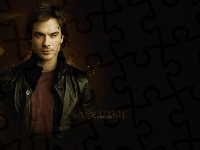 Pamiętnik, Ian Somerhalder, Damon Salvatore, Wampirów