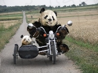 Na, Pandy, Motocyklu