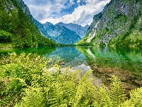 Bawaria, Niemcy, Jezioro Obersee, Góry, Alpy, Paprocie, Park Narodowy Berchtesgaden, Drzewa