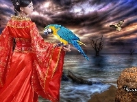 Papuga, Kobieta, Kimono, Morze