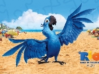 Papuga, Rio, Niebieska, Plaża