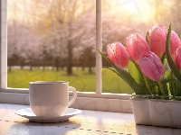 Parapet, Tulipany, Filiżanka