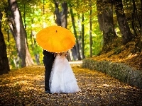 Parasol, Młoda, Para, Jesień