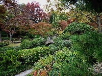 Park