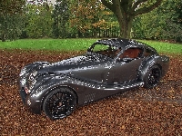 Park, Morgan Aero 8, Liście