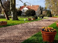 Park Oliwski im. Adama Mickiewicza, Gdańsk, Kwiaty, Budynek, Zieleń, Donice, Polska, Alejka, Drzewa