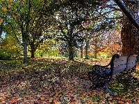 Ławka, Park, Jesień