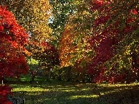 Ławka, Park, Jesień