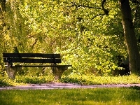 Ścieżka, Park, Ławka