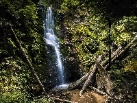Park stanowy Big Basin Redwoods State Park, Drzewa, Stany Zjednoczone, Kalifornia, Wodospad Berry Creek Falls