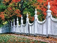 Park, Ogrodzenie, Jesień, Drzewa, Białe