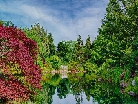 Drzewa, Park, Jezioro
