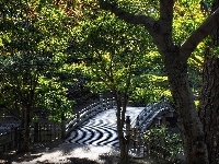 Drzewa, Park, Mostek