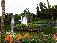Fontanny, Park, Kwiaty
