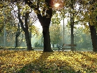 Jesień, Park, Ławeczka