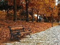Ławka, Jesień, Park, Aleja