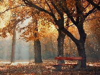Ławka, Jesień, Park, Mgła