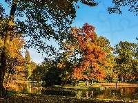 Jesień, Park, Staw