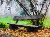Park, Zamglony, Jesienny, Ławeczka
