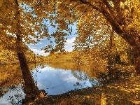 Jeziorko, Park, Jesień