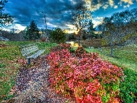 Jezioro, Park, Ławka