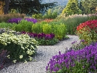 Park, Kwiaty