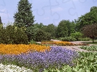 Kwiaty, Park, Drzewa