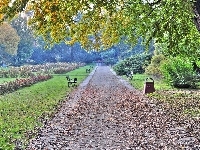 Park, Legnica