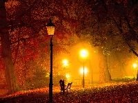 Park, Latarnie, Drzewa, Liście, Nocą