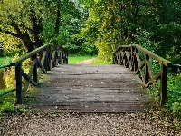 Most, Park, Drzewa