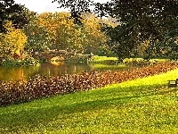 Park, Rzeka, Mostek, Jesień