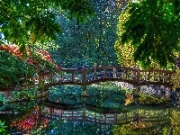 Mostek, Park, Staw