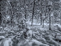 Park, Białe, Zima, Śnieg, Czarno