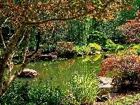 Park, Lato, Ogród, Staw