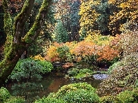Ogród, Park, Oregon, Mostek, Japoński, Staw, Portland