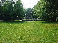 Drzewa, Gdańsk, Polska, Park Jelitkowski, Zieleń, Trawnik