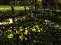Rzeczka, Park, Mostek