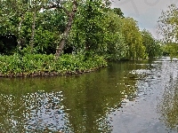 Park, Rzeka